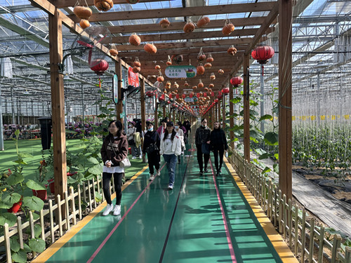 微信图片_20231126131012_副本.jpg