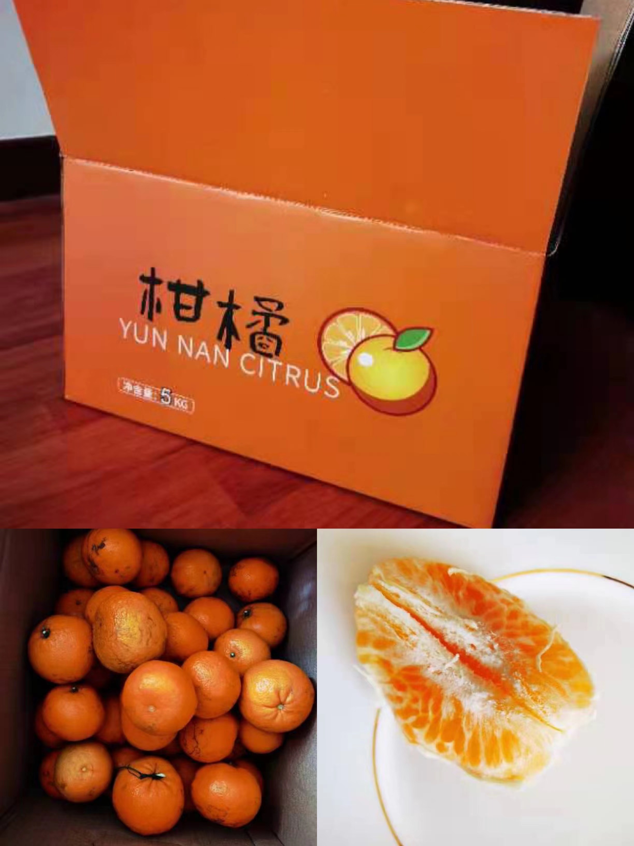8发放沃柑.jpg