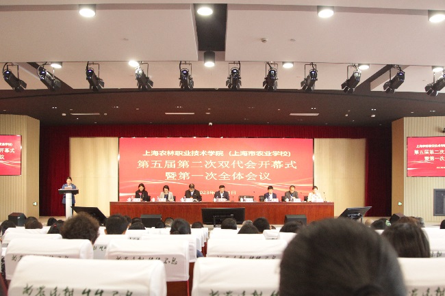 IMG_7806_副本.jpg